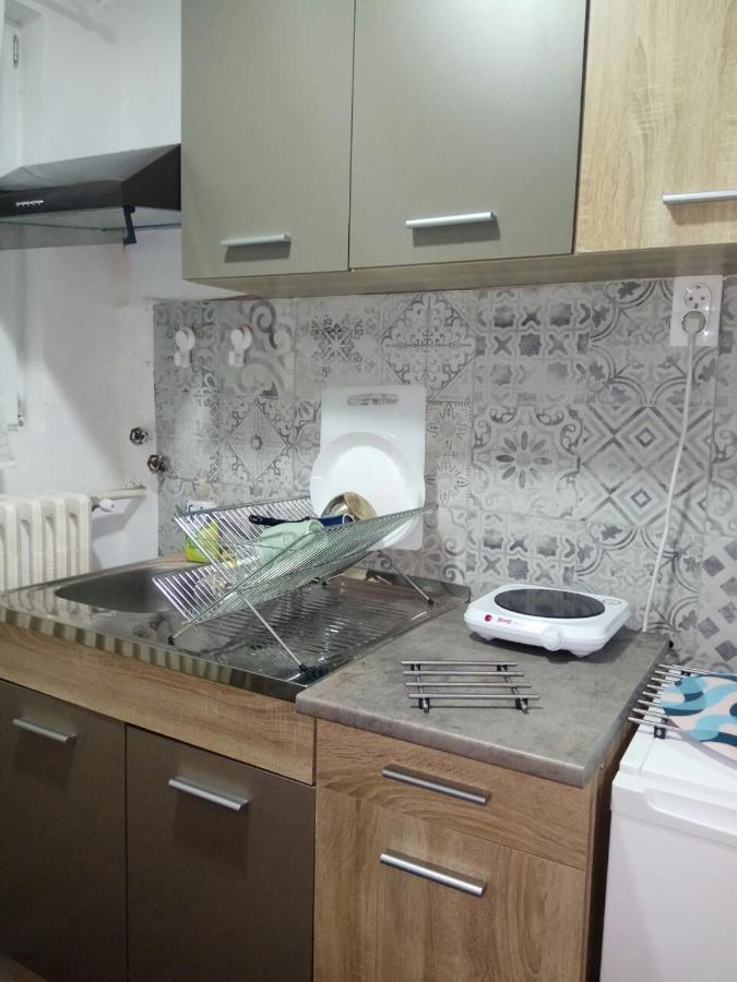 Tatjanina Garsonjera Daire Subotica Dış mekan fotoğraf